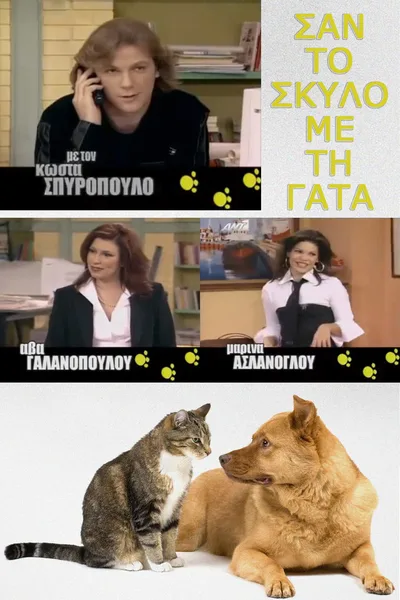 San to skylo me ti gata poster