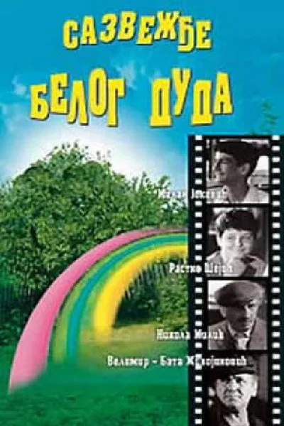 Sazvezdje belog duda poster