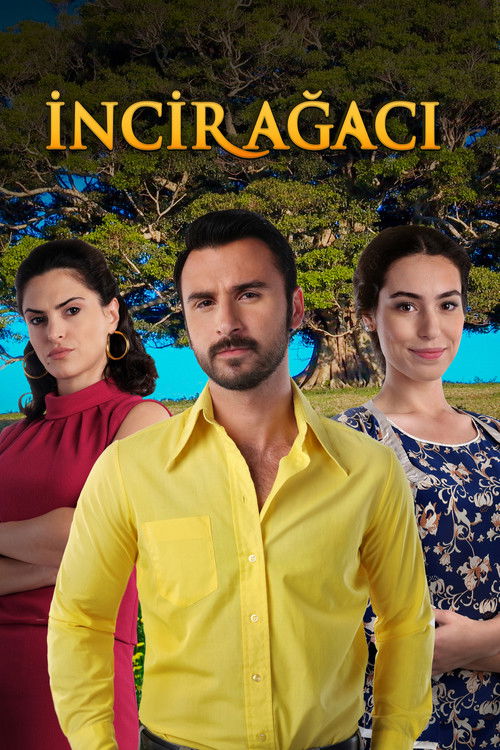 Incir Agaci poster