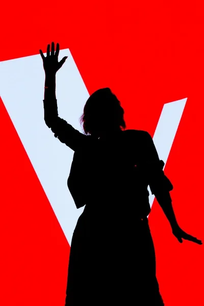 The Voice: Najljepsi glas Hrvatske poster