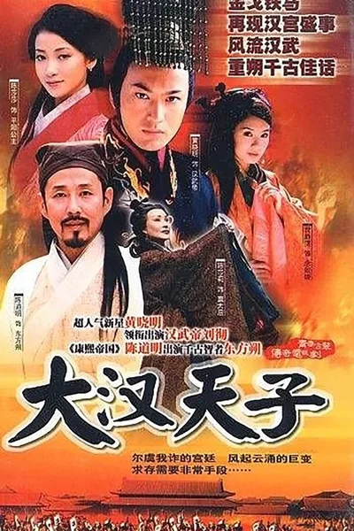 Da Han tian zi poster