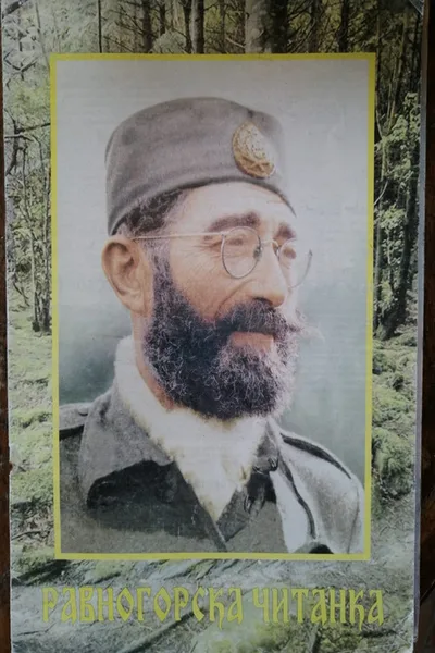 Ravnogorska citanka poster