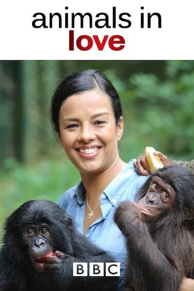 Animals in Love poster