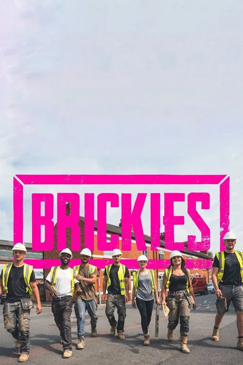 Brickies poster