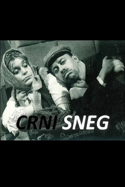 Crni sneg poster