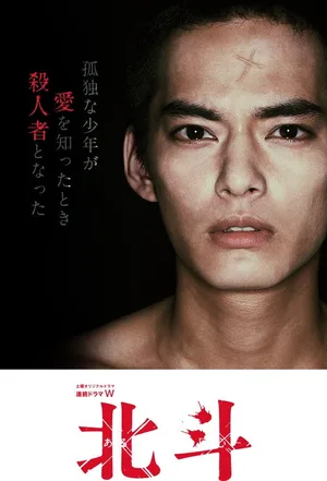 Hokuto: Aru satsujinsha no kaishin poster