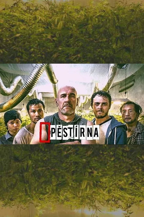 Pestírna poster