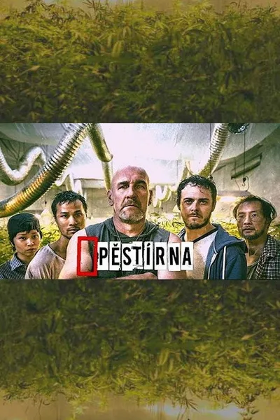 Pestírna poster