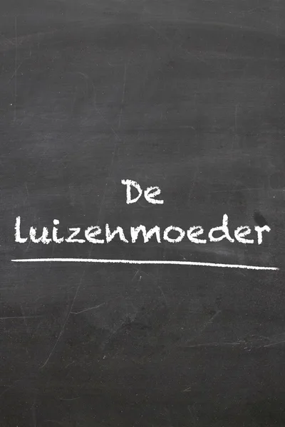 De luizenmoeder poster