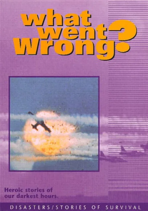 What Went Wrong poster