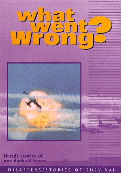 What Went Wrong poster