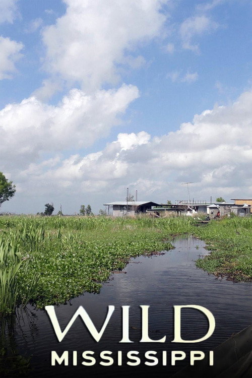 Wild Mississippi poster
