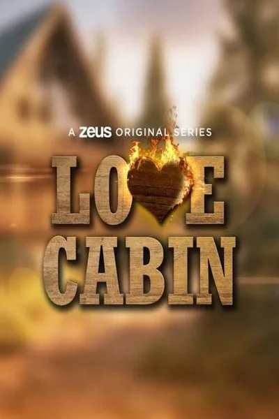 Love Cabin poster