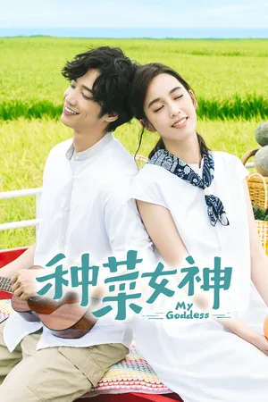 Zhong cai nu shen poster