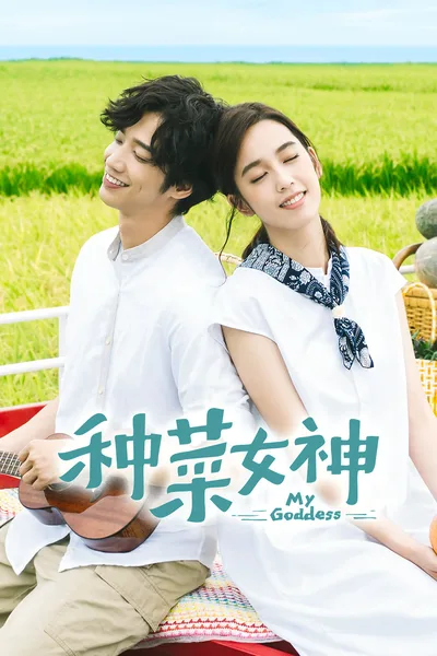 Zhong cai nu shen poster