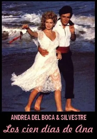 Cien días de Ana poster