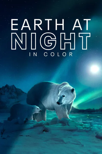 Earth at Night in Color poster