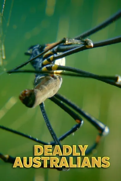 Deadly Australians poster