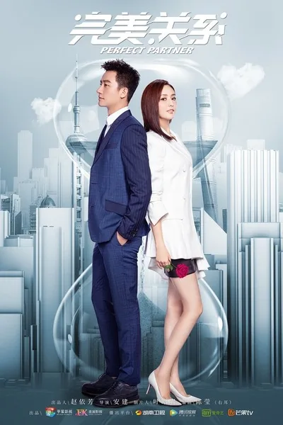 Perfect Partner poster