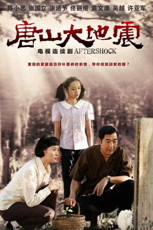 Aftershock poster