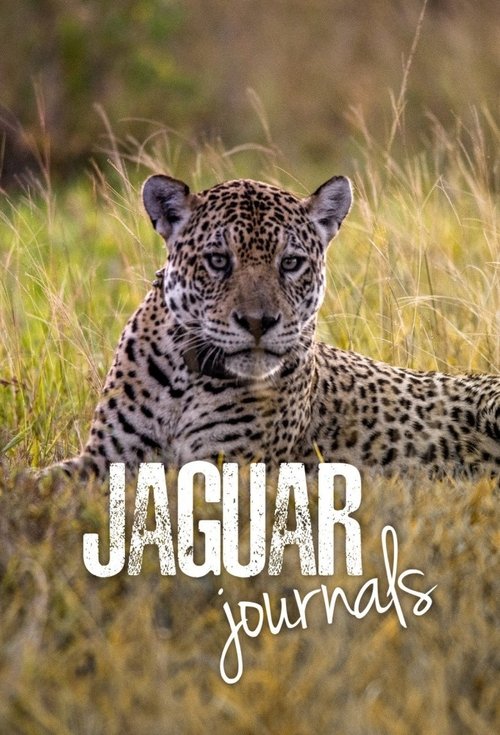 Jaguar Journals poster