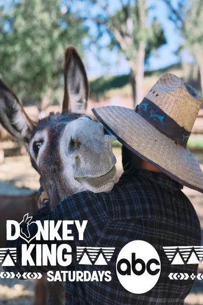 Donkey King poster