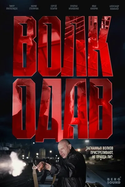Volkodav poster