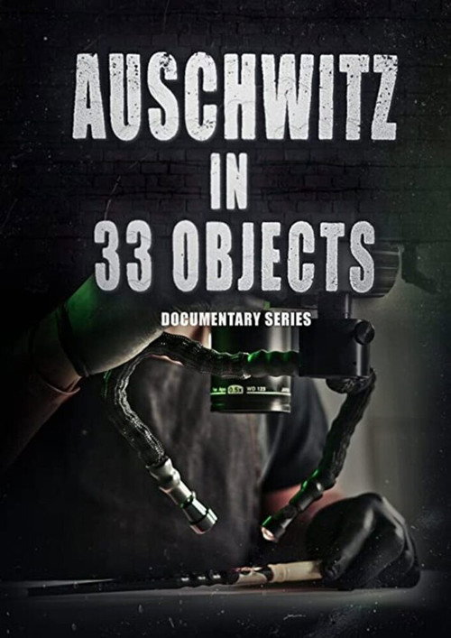 Auschwitz in 33 Objects poster