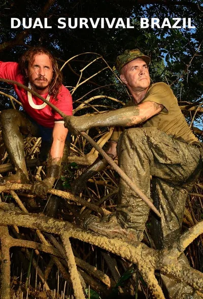 Desafio em Dose Dupla Brasil poster