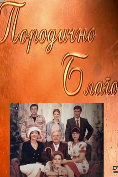 Family Treasure poster