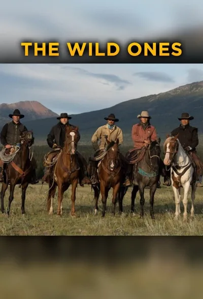 The Wild Ones poster
