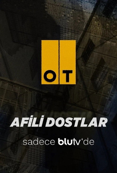 Afili Dostlar poster
