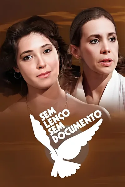 Sem Lenço, Sem Documento poster