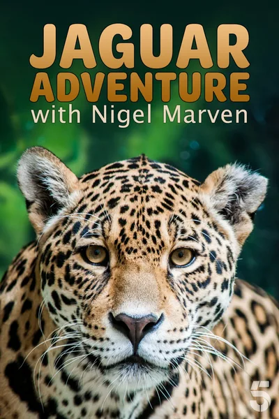 Jaguar Adventure with Nigel Marven poster