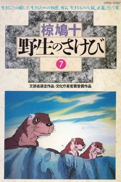Call of the Wild poster