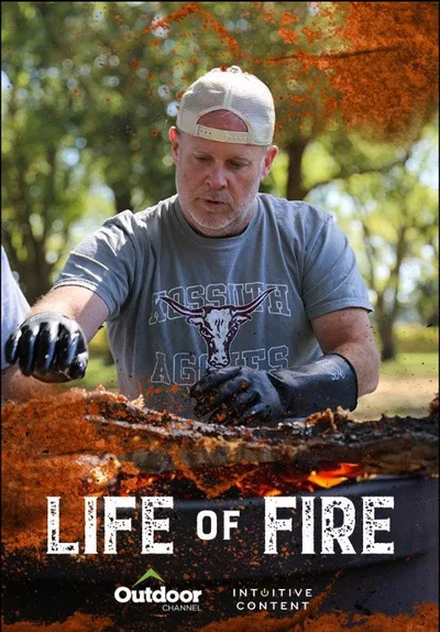 Life of Fire poster