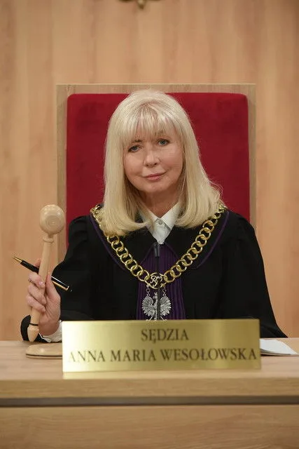 Wesolowska i mediatorzy poster