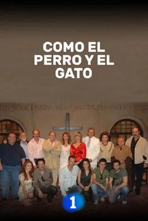 Como el perro y el gato poster