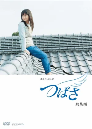 The Voice of Hope poster