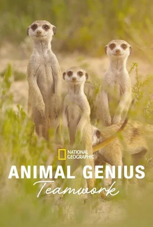 Animal Genius poster