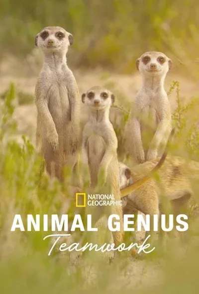 Animal Genius poster