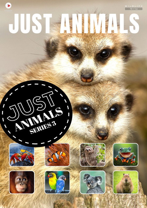 Just Animals poster