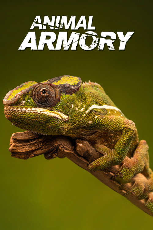 Animal Armory poster