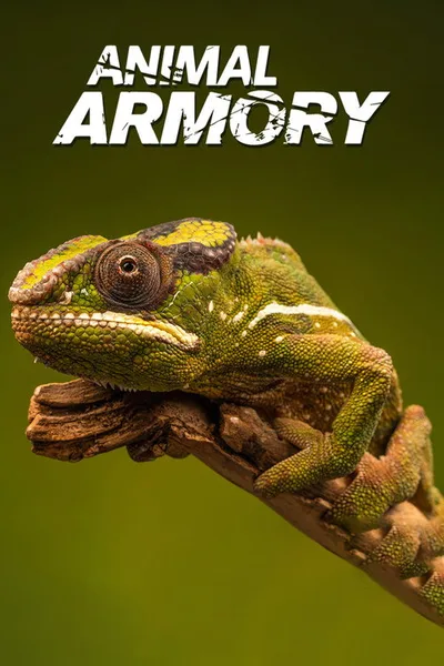 Animal Armory poster