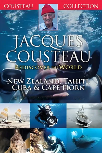 Jacques Cousteau: Rediscover the World I poster