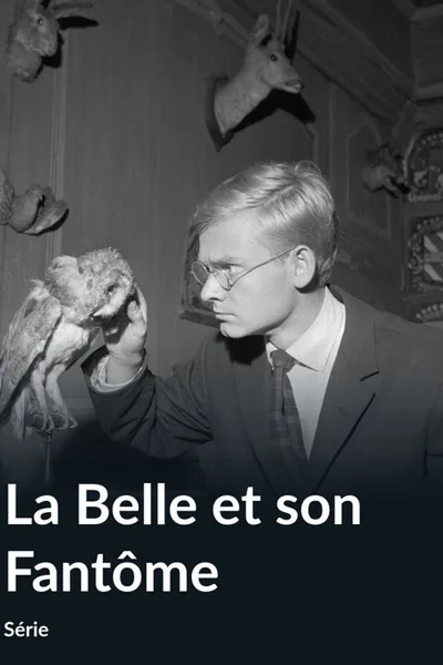 La belle et son fantôme poster