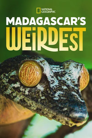 Madagascar Weirdest poster