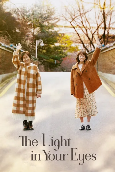 The Light in Your Eyes poster
