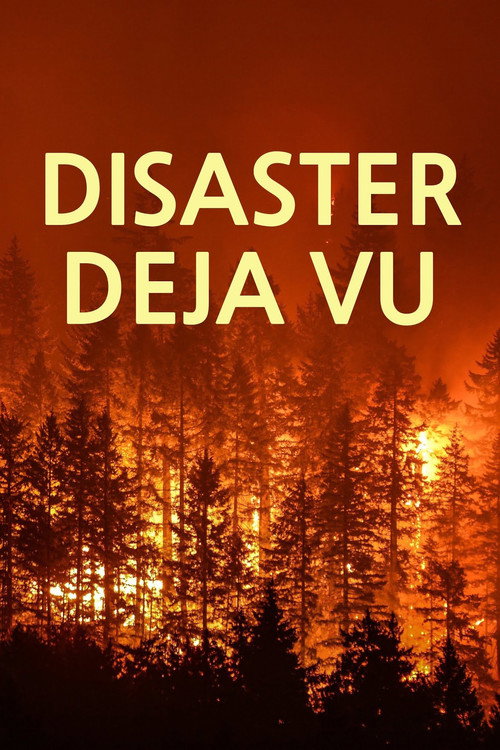Disaster Deja vu poster