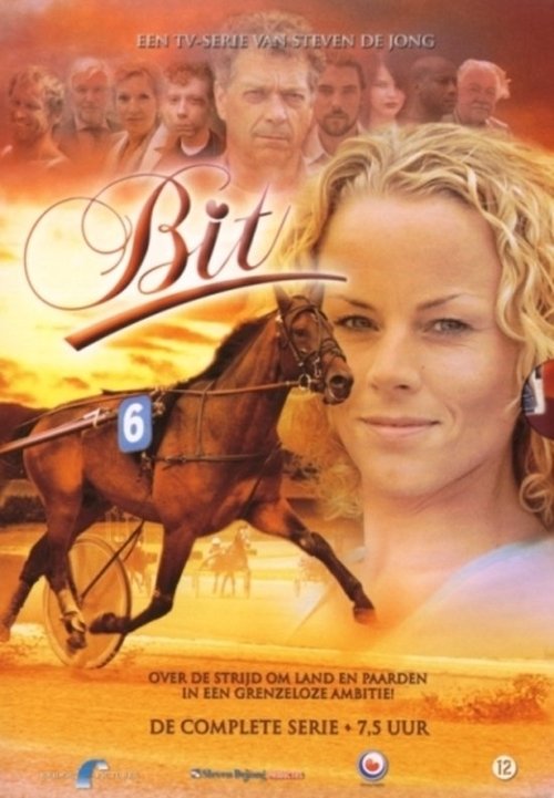 Bit poster